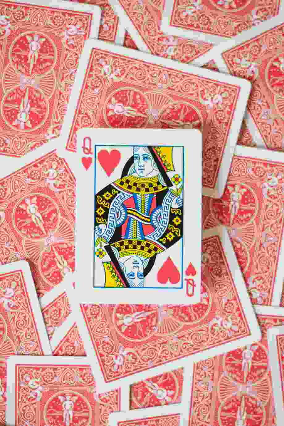 Bingosjov casino